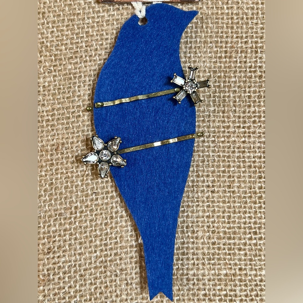 Chloe + Isabel Crystal Hair Pin Duo